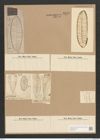 Surirella gemma Ehr. (de-Toni-Nr.: Genus 53, Species 2247) Zeichnungen Sammlung Grunow Nr. 4676 (NHMW-BOT-W0372747)